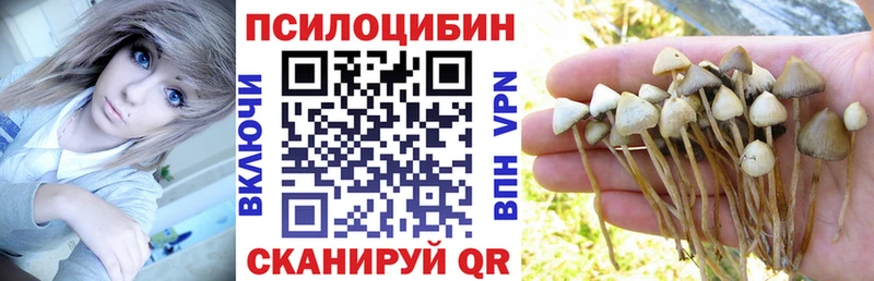 Псилоцибиновые грибы мицелий  KRAKEN ССЫЛКА  Щёкино 